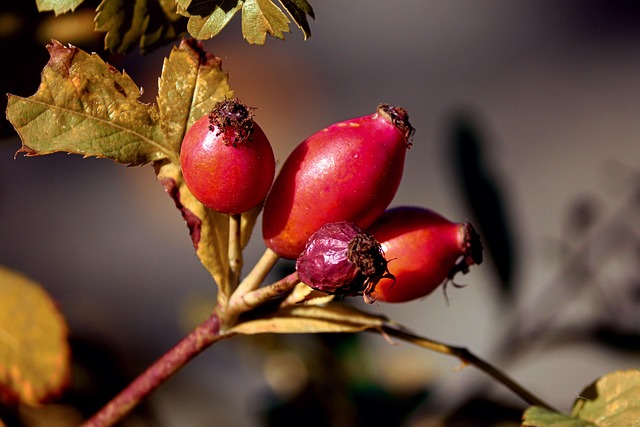 KI-Szenario Urlaub Frostschutz Langzeitabwesenheit minimaler Verbrauch